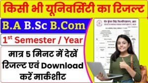 BA Frist Year Result 2024